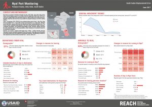 REACH_SSD_Factsheet_Nyal_PortMonitoring_June2017