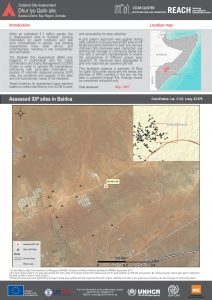 SOM_Factsheet_DSA Site Level_Baidoa District_July 2018