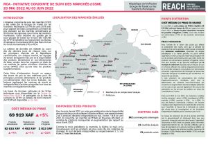 REACH RCA Fiche informative Suivi des marchés Mai 2022