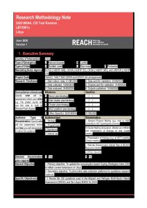 LBY2001_Methodology Note_Coping Strategy Index Tool Revision_June2020
