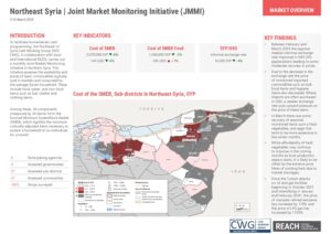 REACH Syria – NES Northeast Factsheet JMMI (March 2024)