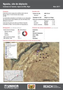 NER_HCR_Factsheet_Profil Site de Déplacés_Commune de Toumour_Ngouba_Mars 2017.pdf