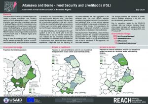 Food Security & Livelihood Hard-to-Reach Situation Overview, Borno, Nigeria - July 2020