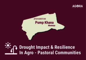 AGORA, Drought Impact and Resilience in Agro-Pastoral Communities in Northwest Afghanistan Pump Khana Manteqa Profile (June 2024 – April 2025)