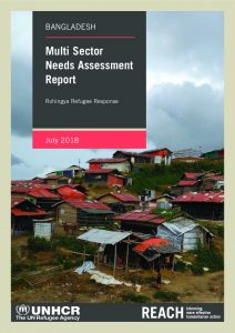 BGD_Report_MSNA Baseline_July 2018