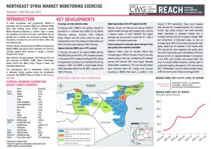 Northeast Syria Market Monitoring Situation Overview - February 2021