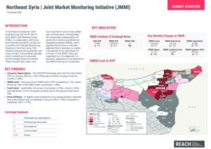 REACH Syria – NES Northeast Factsheet JMMI (January 2024)