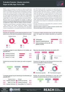 Evaluation protection : fiche d’information sur la situation sécuritaire, région de Diffa, Niger – Février 2020