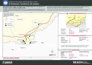 NER_Factsheet_Displacement Site AriBoudoumeri_Juin2016