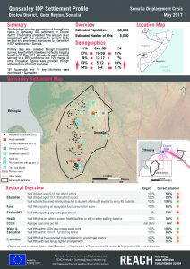 SOM_Factsheet_IDPSettlementProfile_Qansaxley_May2017
