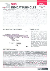 Evaluation multisectorielle des besoins (MSNA) 2022 - Résultats-clés - Département Sud