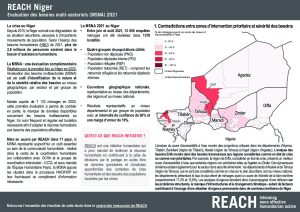 NER MSNA 2021 Flyer resultats cles