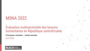 Évaluation multisectorielle des besoins humanitaires en République centrafricaine : Principaux résultats – Santé mentale