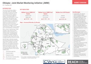 REACH Ethiopia Joint Market Monitoring Initiative November 2023