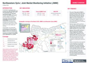 REACH Syria - Northwestern JMMI - March 2025 - Situation Overview