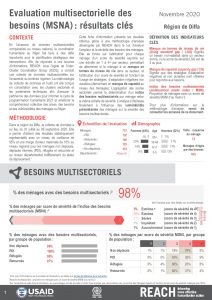 Evaluation multisectorielle des besoins à Diffa, Niger, fiches d’information – novembre 2020