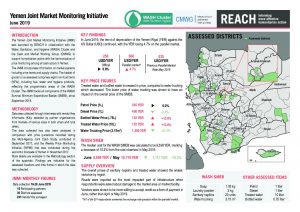 YEM_Situation Overview_JMMI_June 2019