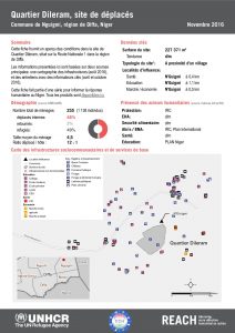 NER_Factsheet_Displacement Site Quartier Dileram_Novembre2016