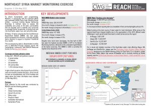 Northeast Syria Market Monitoring Situation Overview – May 2021