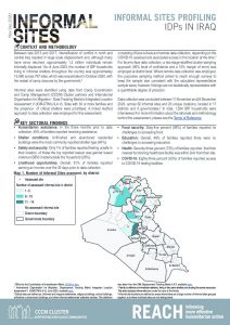 IRQ Factsheet Informal Sites Profiling Dec2020
