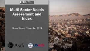 REACH Mozambique MSNI Presentation, Nov 2024