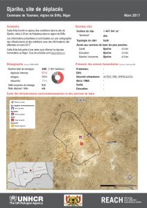 NER_HCR_Factsheet_Profil Site de Déplacés_Commune de Toumour_Djariho_Mars 2017.pdf