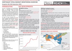 REACH SYR Northeast Situation Overview Market Monitoring Sep 2021