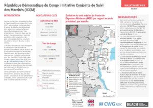 REACH – RDC – ICSM – Factsheet – Mai 2025