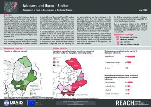 Shelter & Non-food Items Hard-to-Reach Situation Monitoring, Borno, Nigeria - July 2020