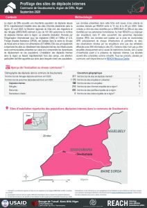 Profilage des sites de déplacés internes dans la commune de Goudoumaria, région de Diffa, Niger - Septembre 2020