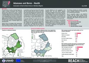 Health Hard-to-Reach Situation Monitoring, Borno, Nigeria - July 2020