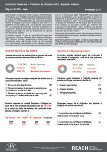 NER_Factsheet_Protection de l'Enfance PDI_ Novembre 2018