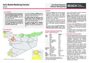 SYR_Situation Overview_Market Monitoring Exercise_July 2017
