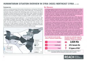 SYR Humanitarian Situation Overview Factsheet Northeast Syria – July 2020