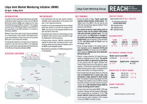 LBY_Situation Overview_Joint Market Monitoring Initiative (JMMI)_May_2019