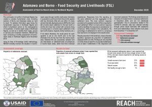 Hard-to-Reach, FSL Factsheet, Borno and Adamawa state, Nigeria, December 2020