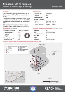 NER_Factsheet_Displacement Site Ngourtoua_Novembre 2016