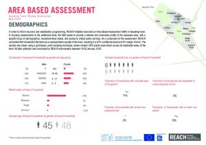 reach_irq_sector_factsheets_area_based_assessment_baashiqa_demographics