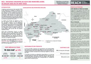 REACH_RCA_Fiche_informative_Suivi_des_marchés_Juillet_2022