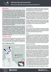 SSD_Profile_Wadakona Rapid Assessment Brief_November 2017