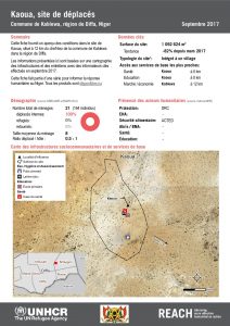 NER_Factsheet_Profil Site de Déplacés de Kaoua_Septembre 2017