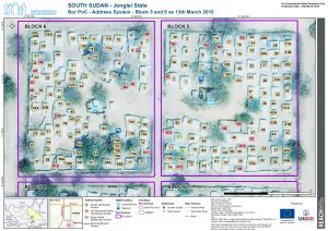 SSD_Map_Jonglei_BorPoCAddressesBlock5and6_13Mar2015_A3