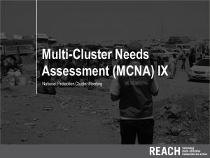 REACH_IRQ_MCNA IX_Protection Findings_Presentation_Sept21