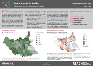 Assessment of Hard-to-Reach Areas: Protection, March 2022