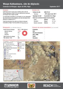 NER_Factsheet_Profil Site de Déplacés de Wouye Kalboukoura_Septembre 2017