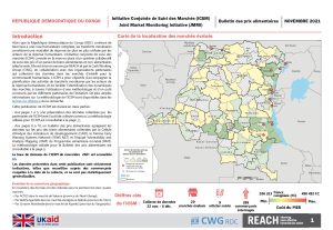 REACH RDC ICSM Factsheet Novembre 2021