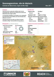 NER_HCR_Factsheet_Profil Site de Déplacés_Commune de Maine-Soroa_Goussougourniram_Mars 2017