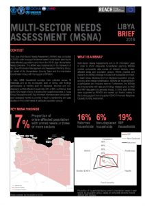 LBY_MSNA-Brief_Feb2019