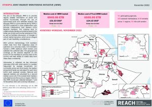 Ethiopia Joint Market Monitoring Initiative (JMMI) November 2022 Factsheet