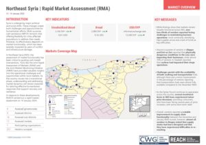Rapid Market Assessment NES Jan 2025